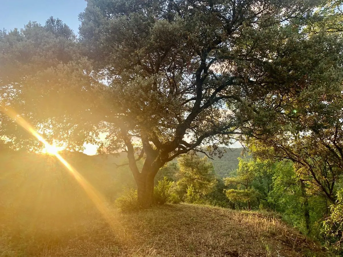 Angrill Habitacions Villa Lladurs